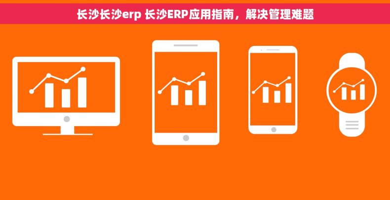 长沙长沙erp 长沙ERP应用指南，解决管理难题