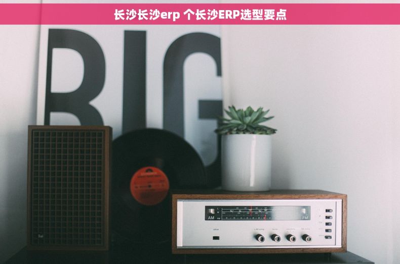 长沙长沙erp 个长沙ERP选型要点