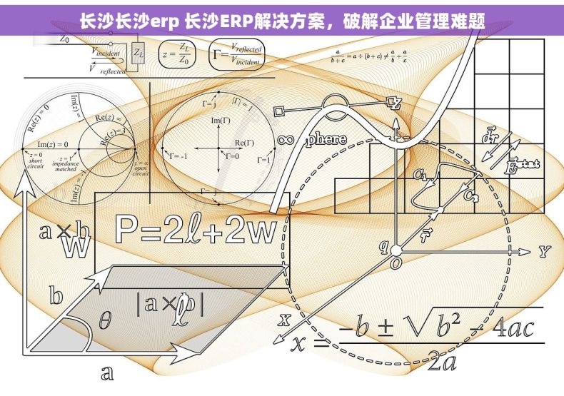 长沙长沙erp 长沙ERP解决方案，破解企业管理难题