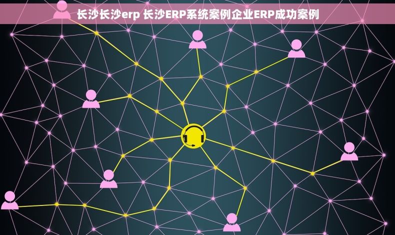 长沙长沙erp 长沙ERP系统案例企业ERP成功案例
