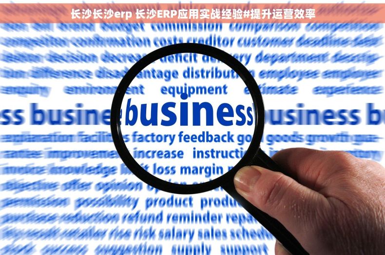 长沙长沙erp 长沙ERP应用实战经验#提升运营效率