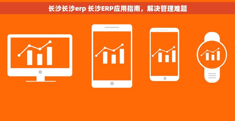 长沙长沙erp 长沙ERP应用指南，解决管理难题