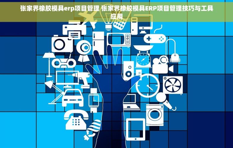 张家界橡胶模具erp项目管理 张家界橡胶模具ERP项目管理技巧与工具应用