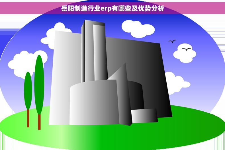 岳阳制造行业erp有哪些及优势分析