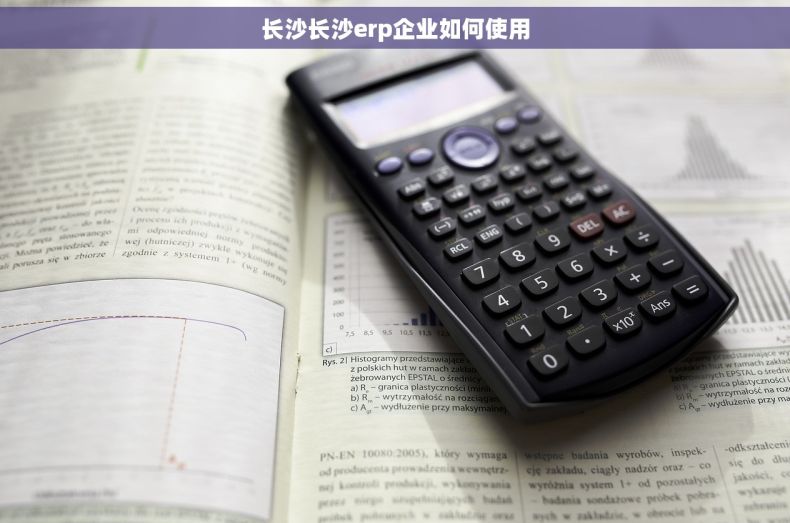 长沙长沙erp企业如何使用