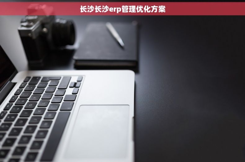 长沙长沙erp管理优化方案