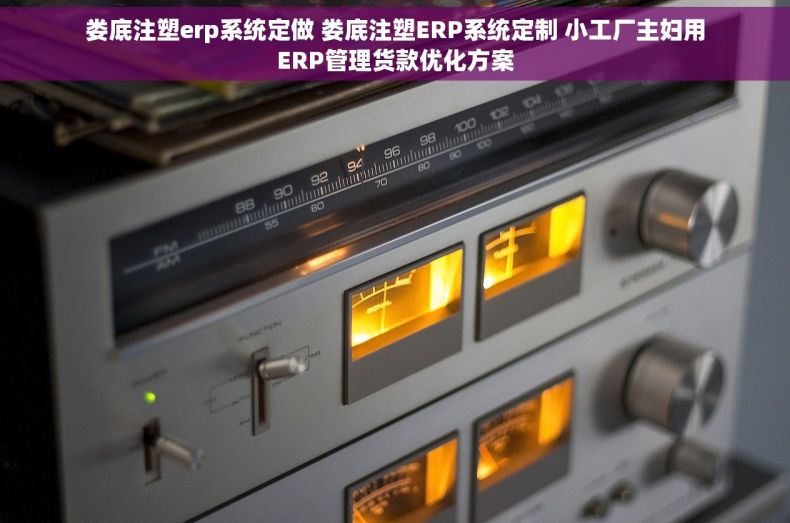 娄底注塑erp系统定做 娄底注塑ERP系统定制 小工厂主妇用ERP管理货款优化方案
