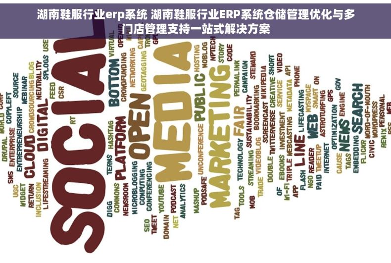 湖南鞋服行业erp系统 湖南鞋服行业ERP系统仓储管理优化与多门店管理支持一站式解决方案