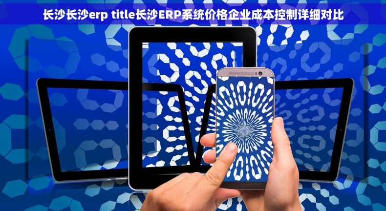 长沙长沙erp title长沙ERP系统价格企业成本控制详细对比