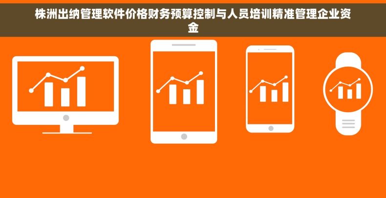 株洲出纳管理软件价格财务预算控制与人员培训精准管理企业资金