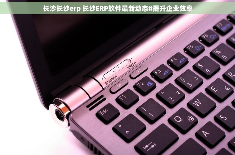 长沙长沙erp 长沙ERP软件最新动态#提升企业效率