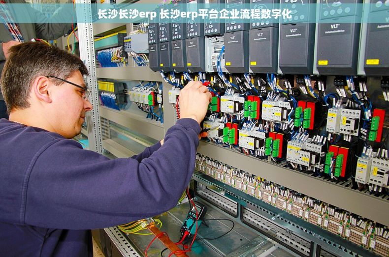 长沙长沙erp 长沙erp平台企业流程数字化