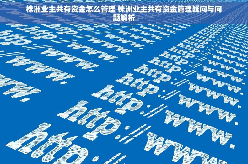 株洲业主共有资金怎么管理 株洲业主共有资金管理疑问与问题解析