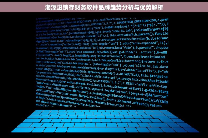 湘潭进销存财务软件品牌趋势分析与优势解析