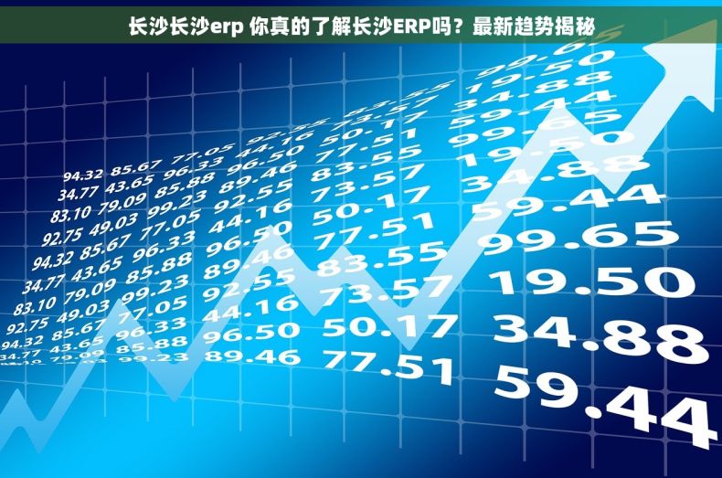 长沙长沙erp 你真的了解长沙ERP吗？最新趋势揭秘