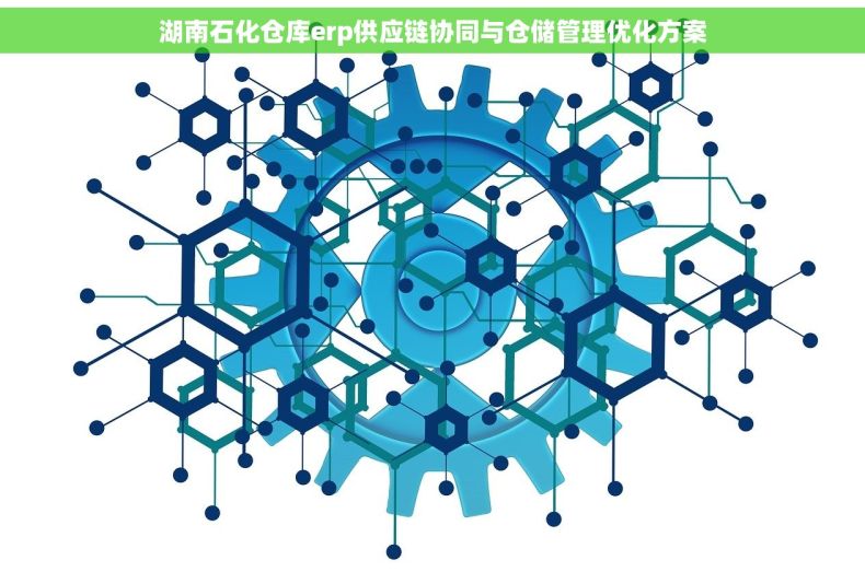 湖南石化仓库erp供应链协同与仓储管理优化方案