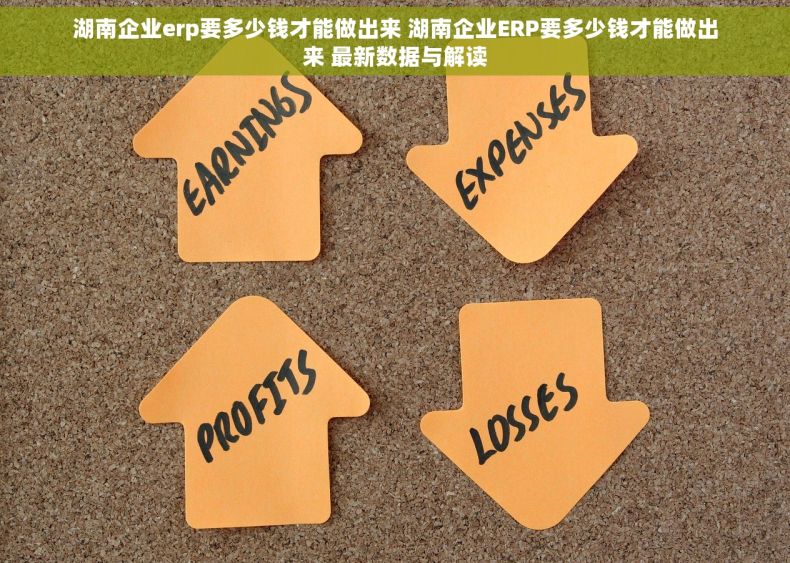 湖南企业erp要多少钱才能做出来 湖南企业ERP要多少钱才能做出来 最新数据与解读
