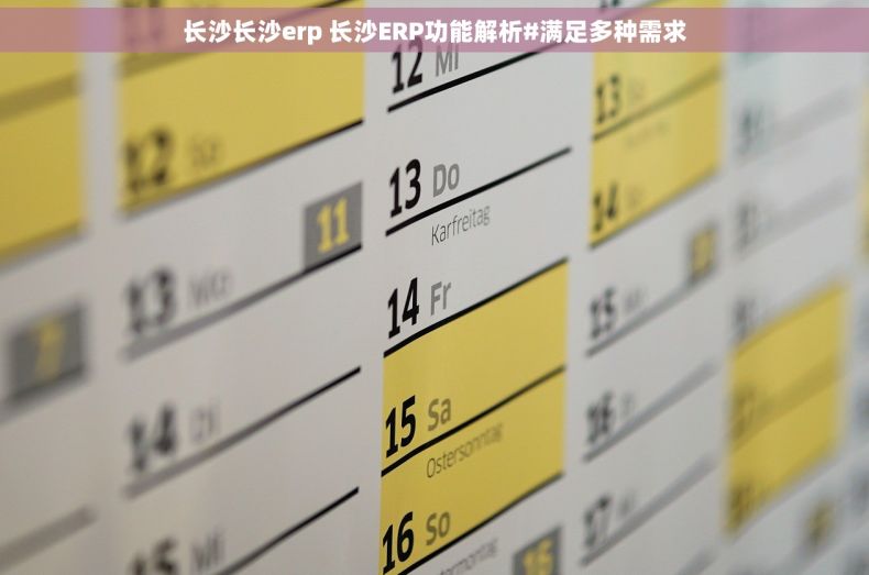 长沙长沙erp 长沙ERP功能解析#满足多种需求