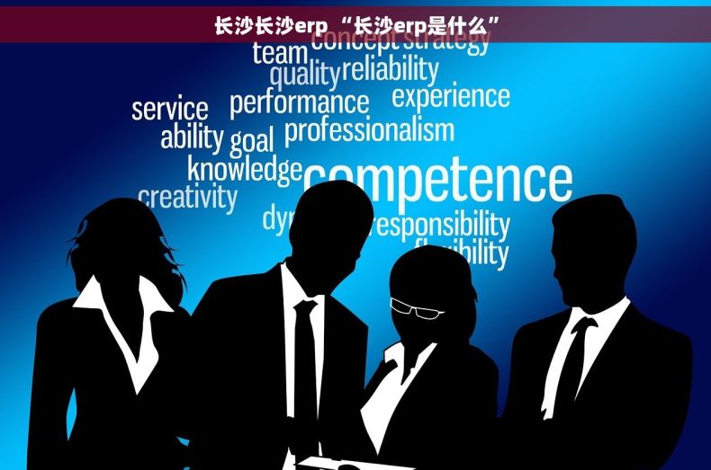 长沙长沙erp “长沙erp是什么”