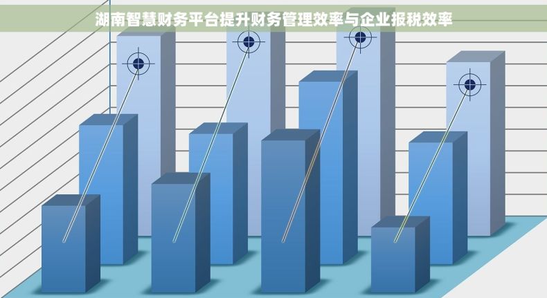 湖南智慧财务平台提升财务管理效率与企业报税效率