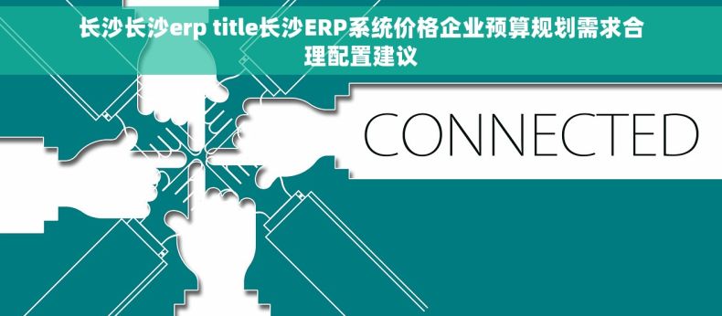 长沙长沙erp title长沙ERP系统价格企业预算规划需求合理配置建议