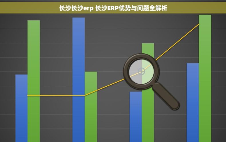 长沙长沙erp 长沙ERP优势与问题全解析