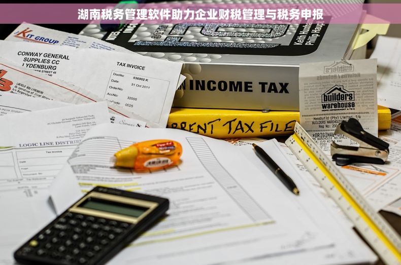 湖南税务管理软件助力企业财税管理与税务申报