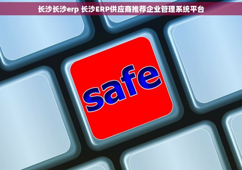 长沙长沙erp 长沙ERP供应商推荐企业管理系统平台