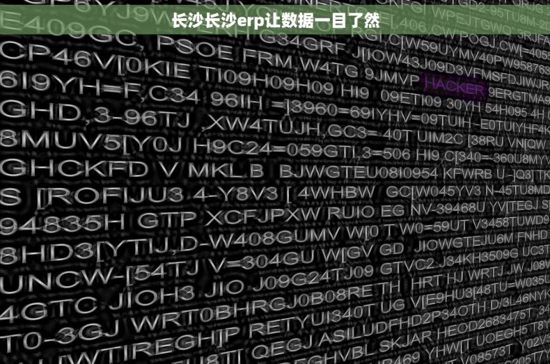 长沙长沙erp让数据一目了然