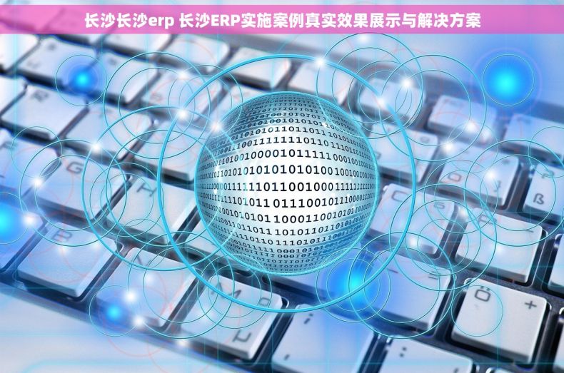 长沙长沙erp 长沙ERP实施案例真实效果展示与解决方案