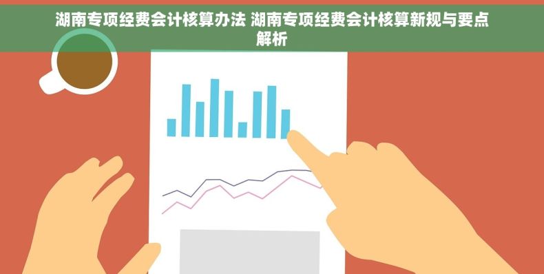 湖南专项经费会计核算办法 湖南专项经费会计核算新规与要点解析