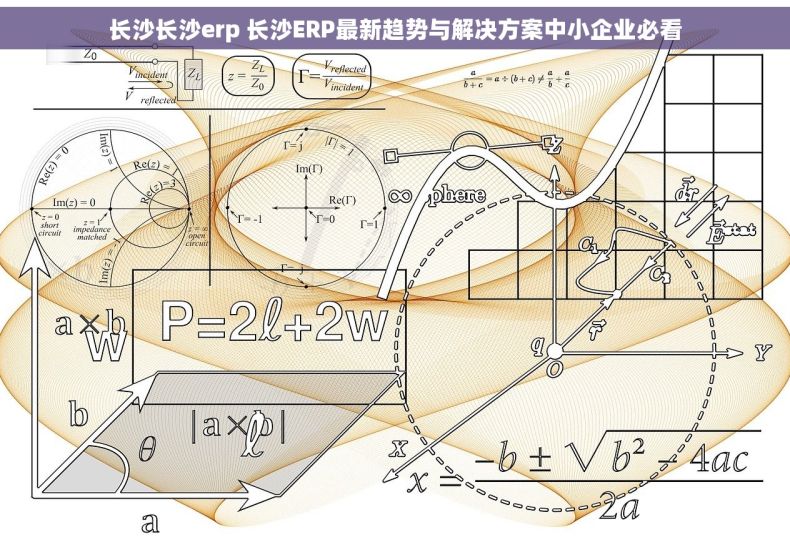 长沙长沙erp 长沙ERP最新趋势与解决方案中小企业必看