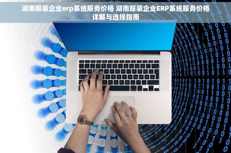 湖南服装企业erp系统服务价格 湖南服装企业ERP系统服务价格详解与选择指南