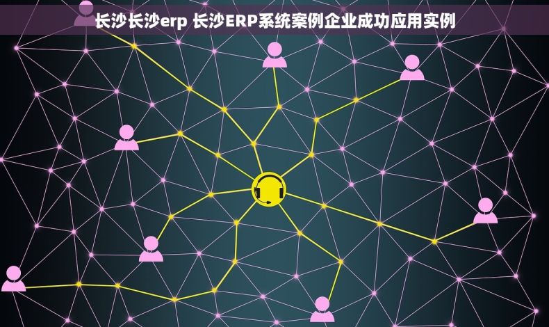 长沙长沙erp 长沙ERP系统案例企业成功应用实例