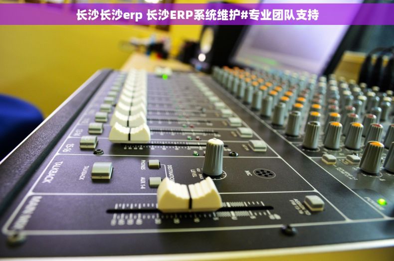 长沙长沙erp 长沙ERP系统维护#专业团队支持