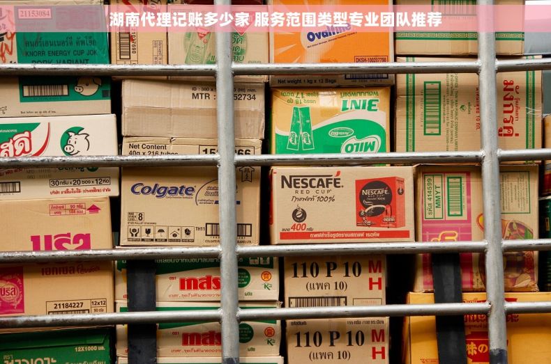 湖南代理记账多少家 服务范围类型专业团队推荐