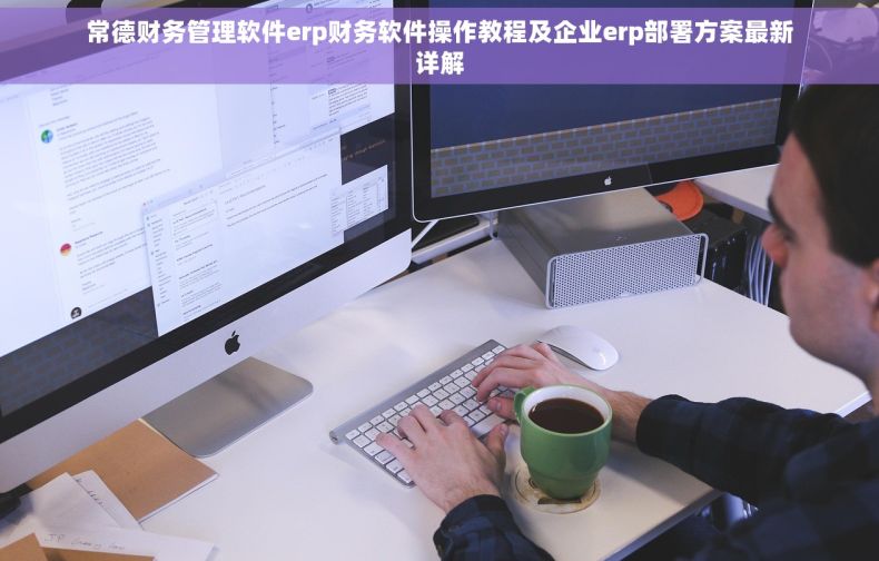 常德财务管理软件erp财务软件操作教程及企业erp部署方案最新详解