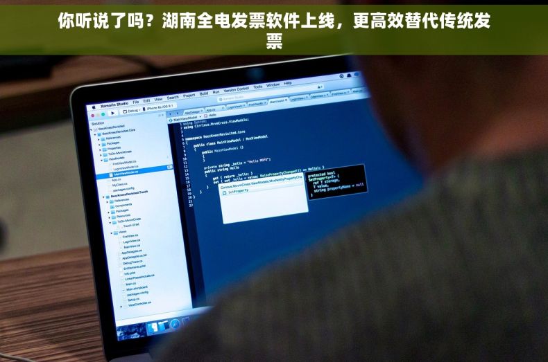 你听说了吗？湖南全电发票软件上线，更高效替代传统发票