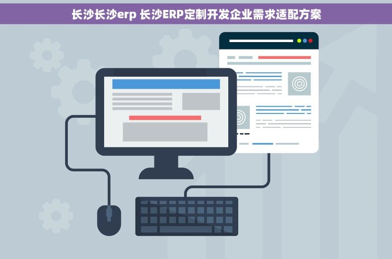 长沙长沙erp 长沙ERP定制开发企业需求适配方案
