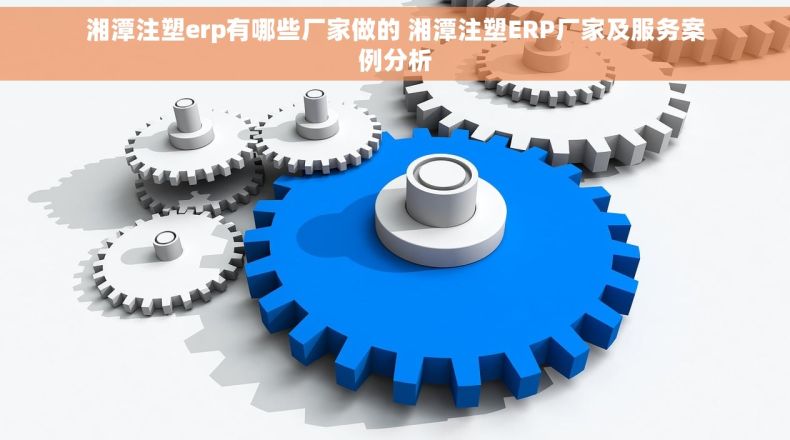 湘潭注塑erp有哪些厂家做的 湘潭注塑ERP厂家及服务案例分析