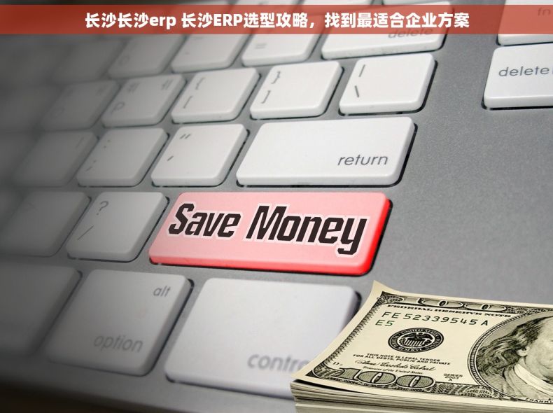 长沙长沙erp 长沙ERP选型攻略，找到最适合企业方案