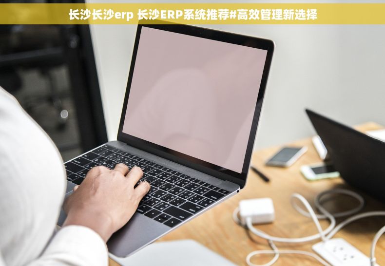 长沙长沙erp 长沙ERP系统推荐#高效管理新选择
