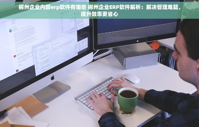 郴州企业内部erp软件有哪些 郴州企业ERP软件解析：解决管理难题，提升效率更省心