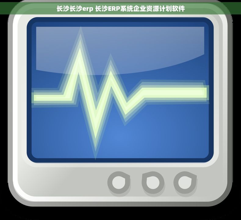 长沙长沙erp 长沙ERP系统企业资源计划软件