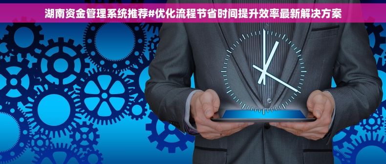 湖南资金管理系统推荐#优化流程节省时间提升效率最新解决方案