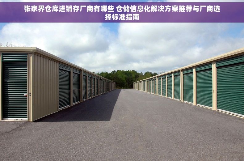 张家界仓库进销存厂商有哪些 仓储信息化解决方案推荐与厂商选择标准指南