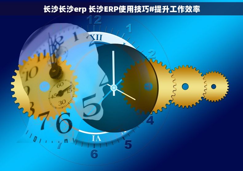 长沙长沙erp 长沙ERP使用技巧#提升工作效率