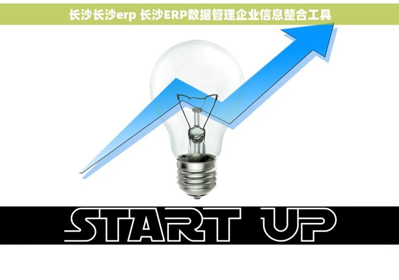 长沙长沙erp 长沙ERP数据管理企业信息整合工具