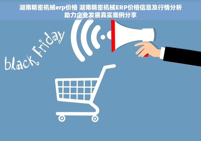 湖南精密机械erp价格 湖南精密机械ERP价格信息及行情分析助力企业发展真实案例分享