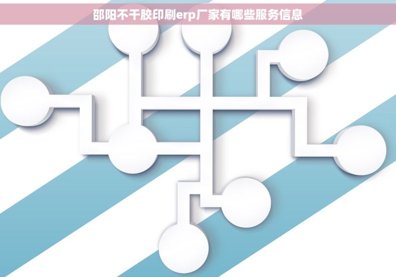 邵阳不干胶印刷erp厂家有哪些服务信息